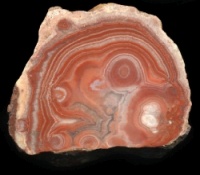 Warden Point Pebble